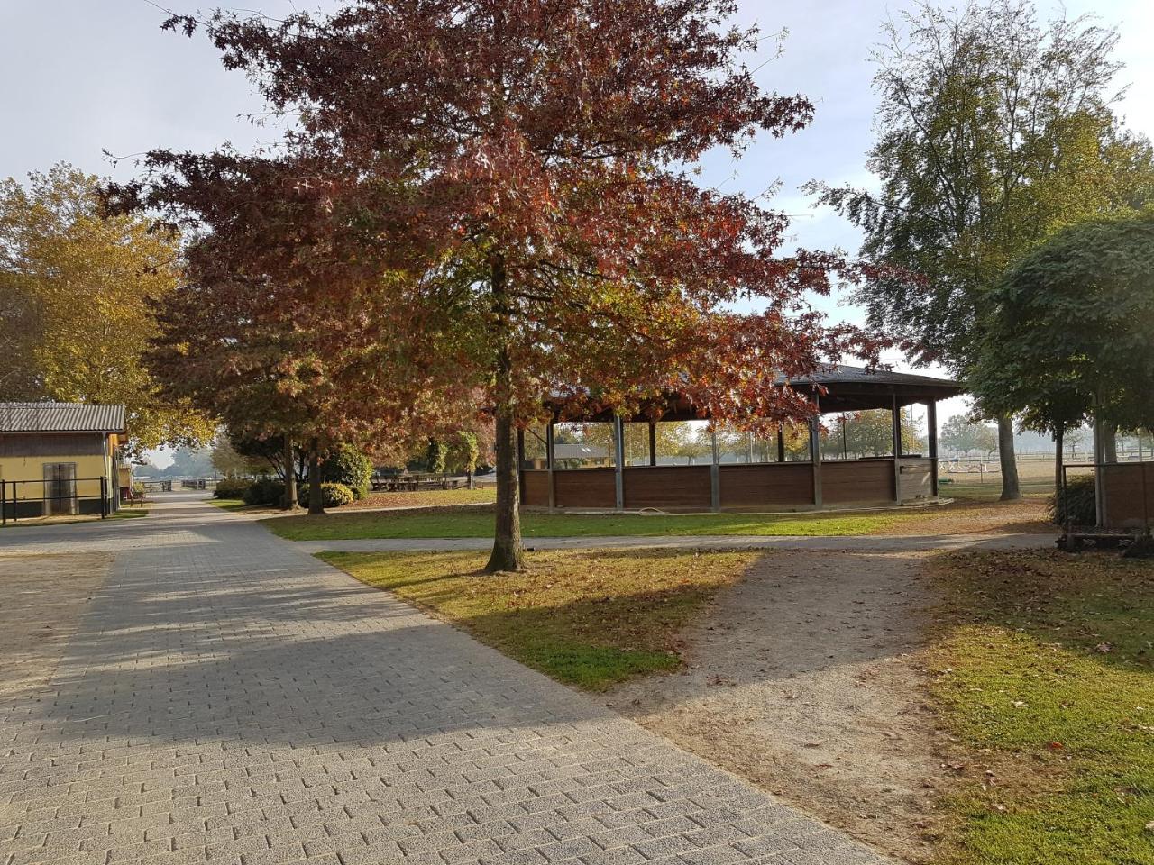 Apartments Luisenhof Krefeld Eksteriør bilde